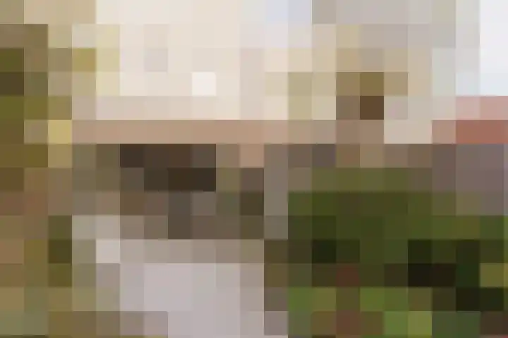 Zilverplevierhof 7 Den Haag thumbnail 12