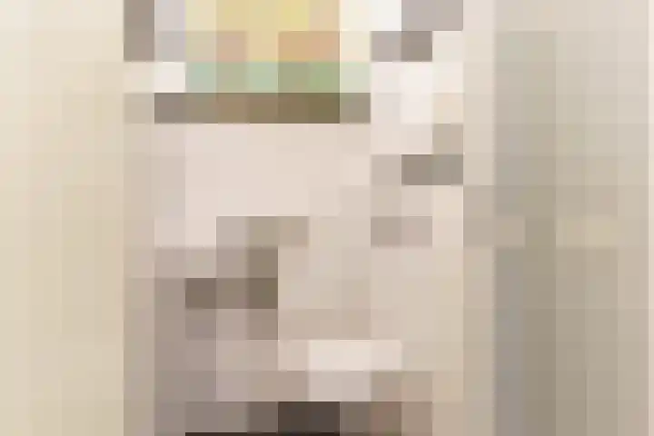 Zilverplevierhof 7 Den Haag thumbnail 13