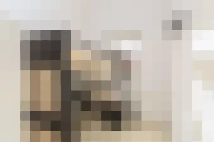 Zilverplevierhof 7 Den Haag thumbnail 14