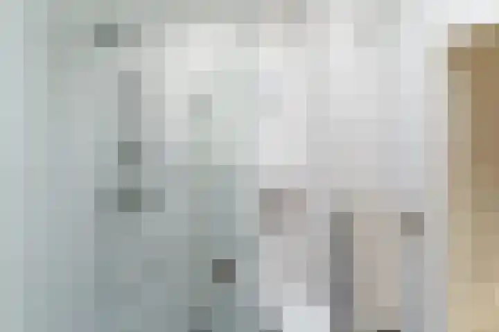 Zilverplevierhof 7 Den Haag thumbnail 20