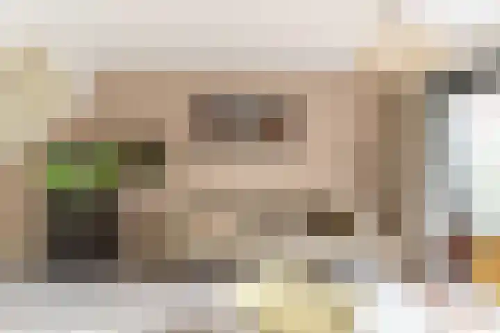 Zilverplevierhof 7 Den Haag thumbnail 4