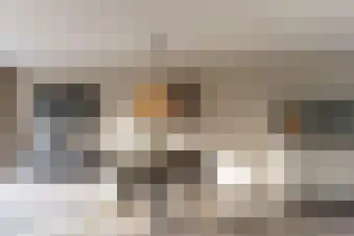 Zilverplevierhof 7 Den Haag thumbnail 6