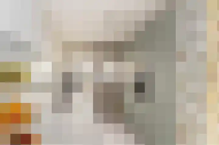 Zilverplevierhof 7 Den Haag thumbnail 7