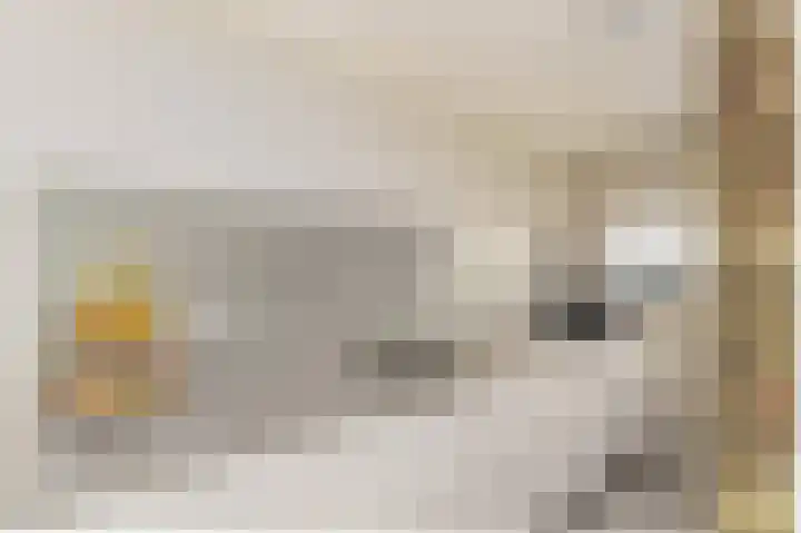 Zilverplevierhof 7 Den Haag thumbnail 8