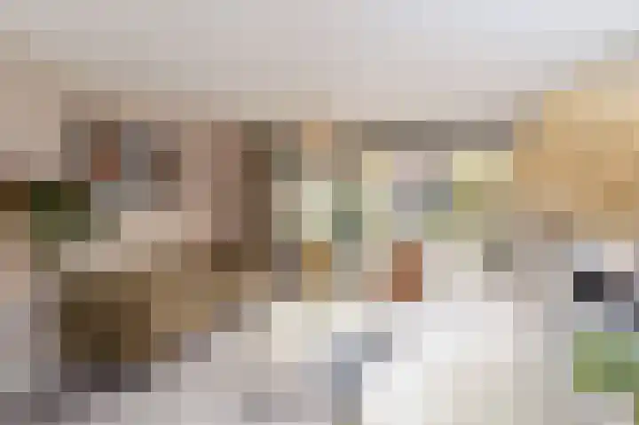 Zilverplevierhof 7 Den Haag thumbnail 9