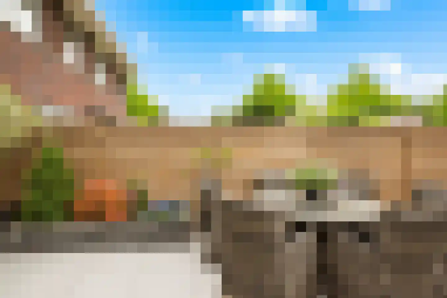Zilverreiger 11 Leimuiden thumbnail 11