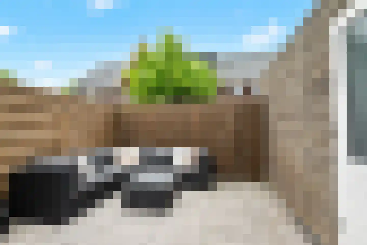 Zilverreiger 11 Leimuiden thumbnail 12
