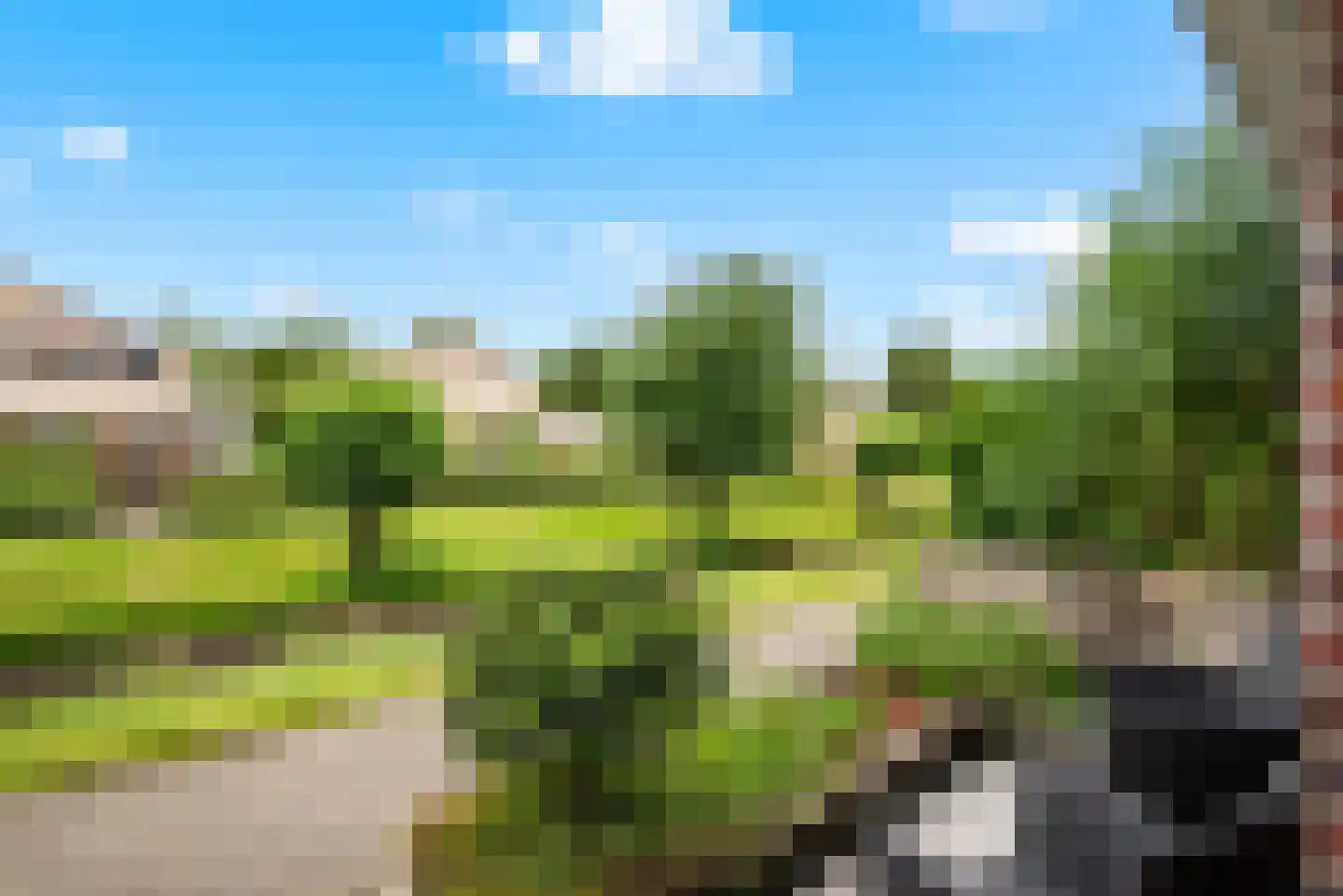 Zilverreiger 11 Leimuiden thumbnail 36