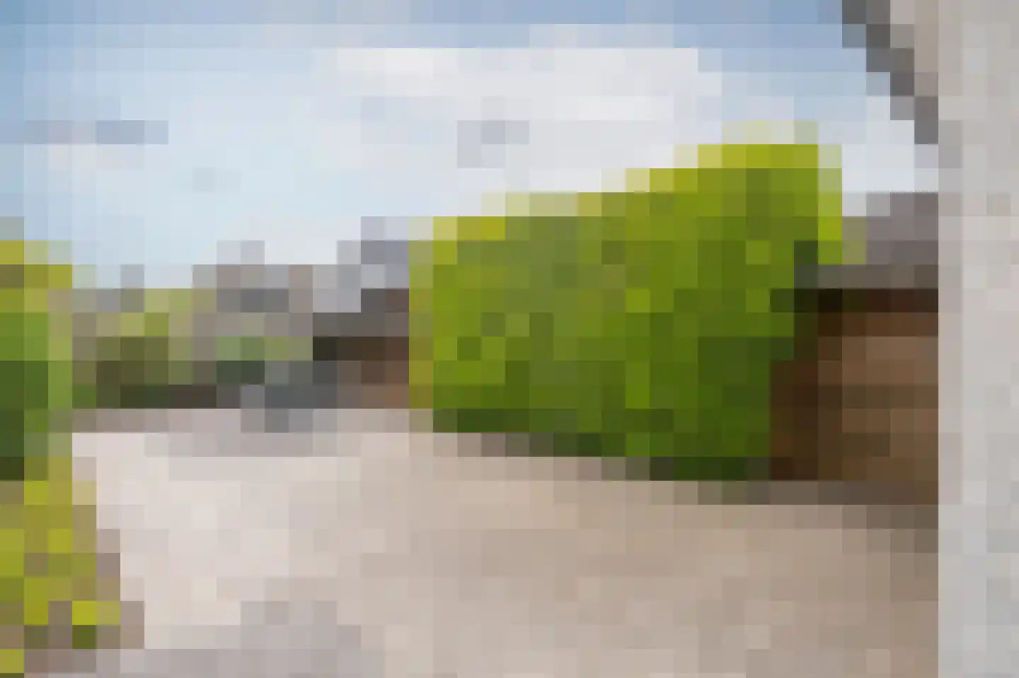 Zilverreiger 16 Emmen thumbnail 39