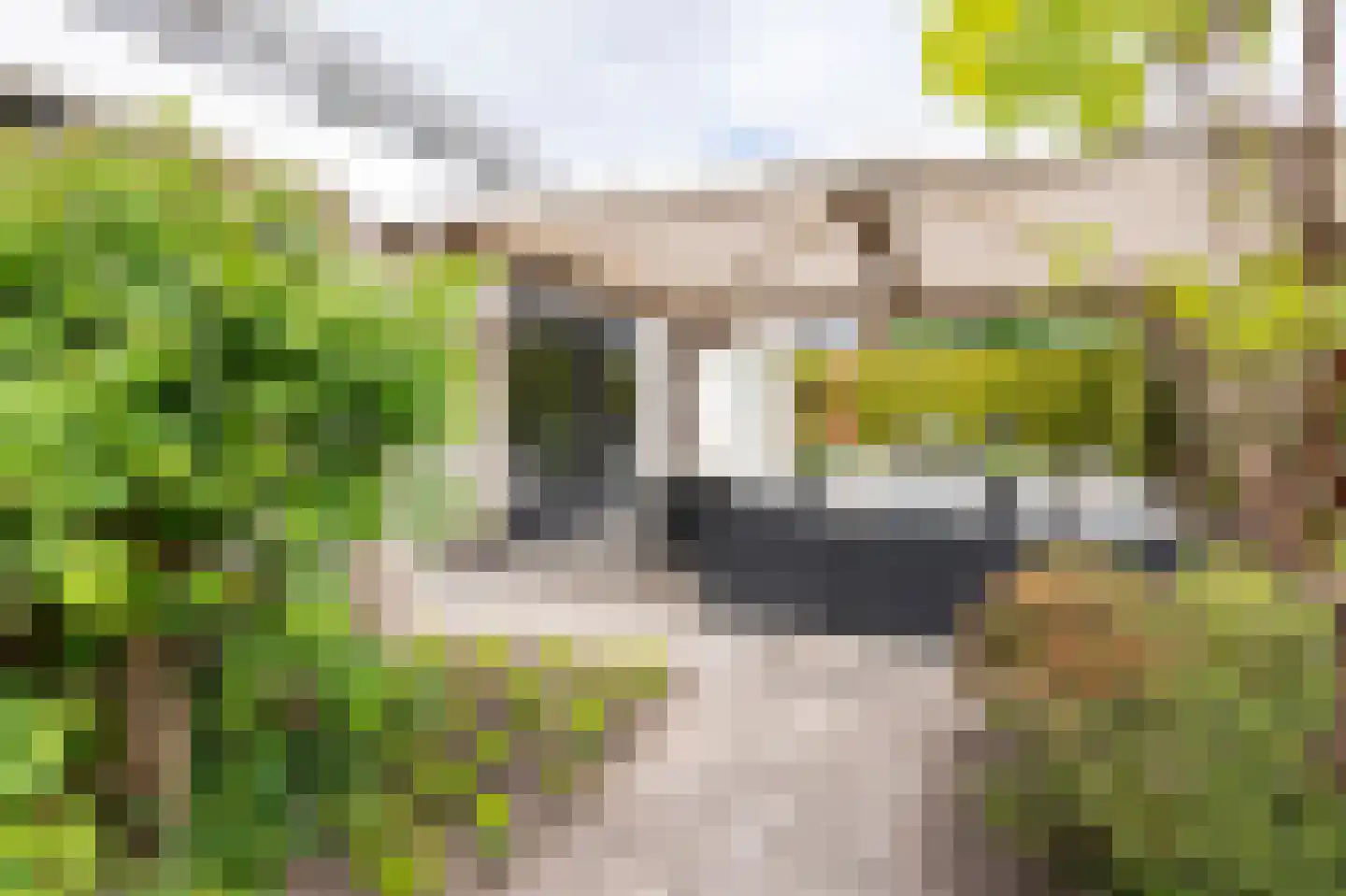 Zilverreiger 16 Emmen thumbnail 4