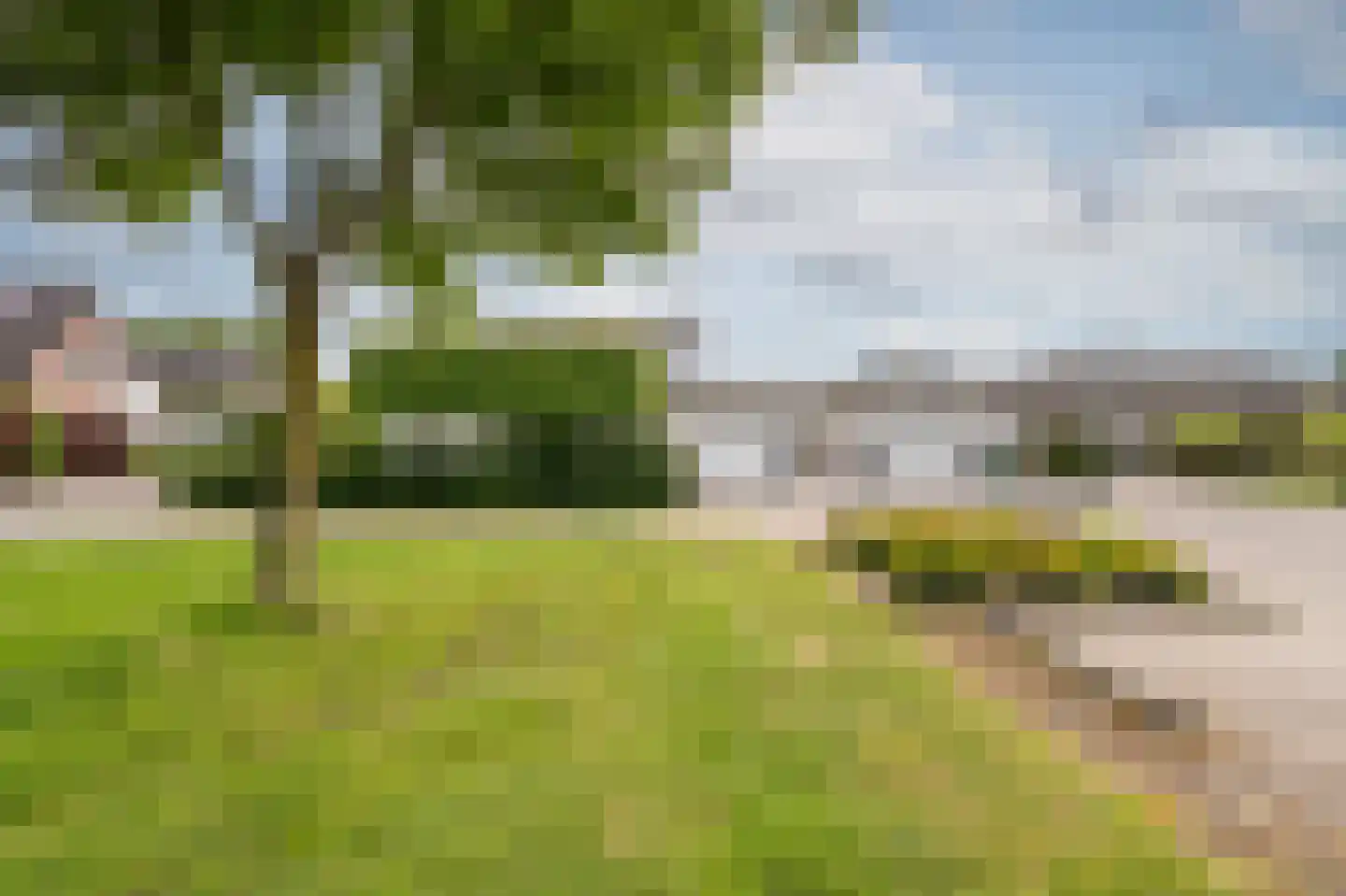 Zilverreiger 16 Emmen thumbnail 46