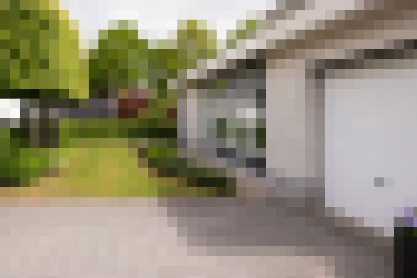 Zilverreiger 16 Emmen thumbnail 7