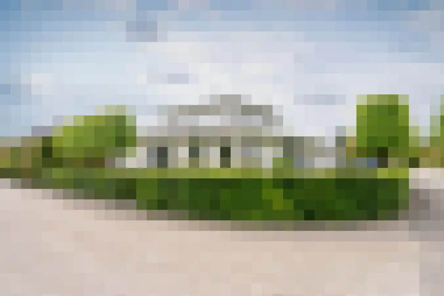 Zilverreiger 16 Emmen thumbnail 8