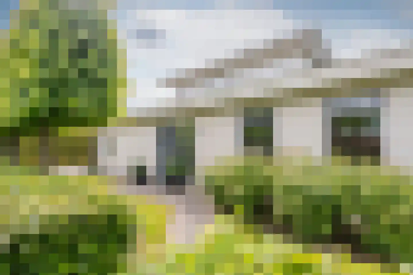 Zilverreiger 16 Emmen thumbnail 9
