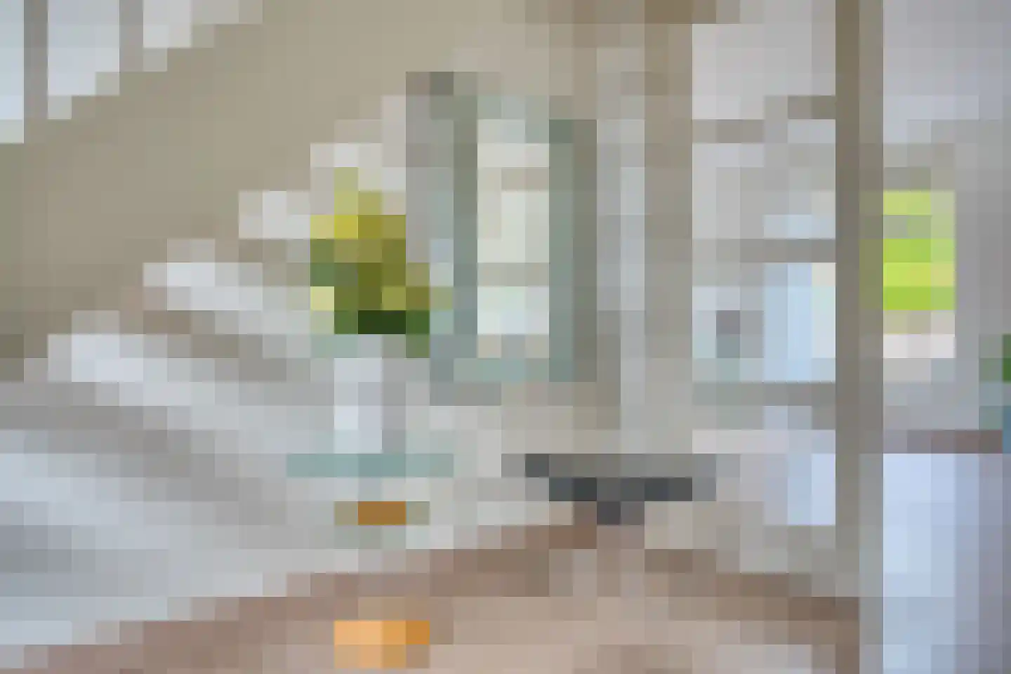 Zilverreiger 19 Hendrik-Ido-Ambacht thumbnail 10