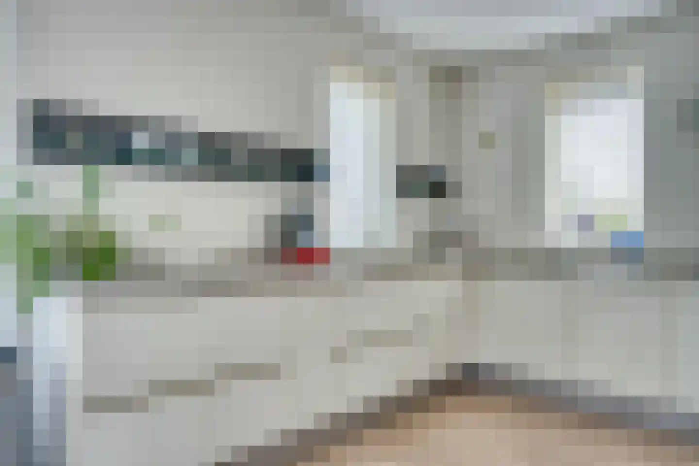 Zilverreiger 19 Hendrik-Ido-Ambacht thumbnail 20