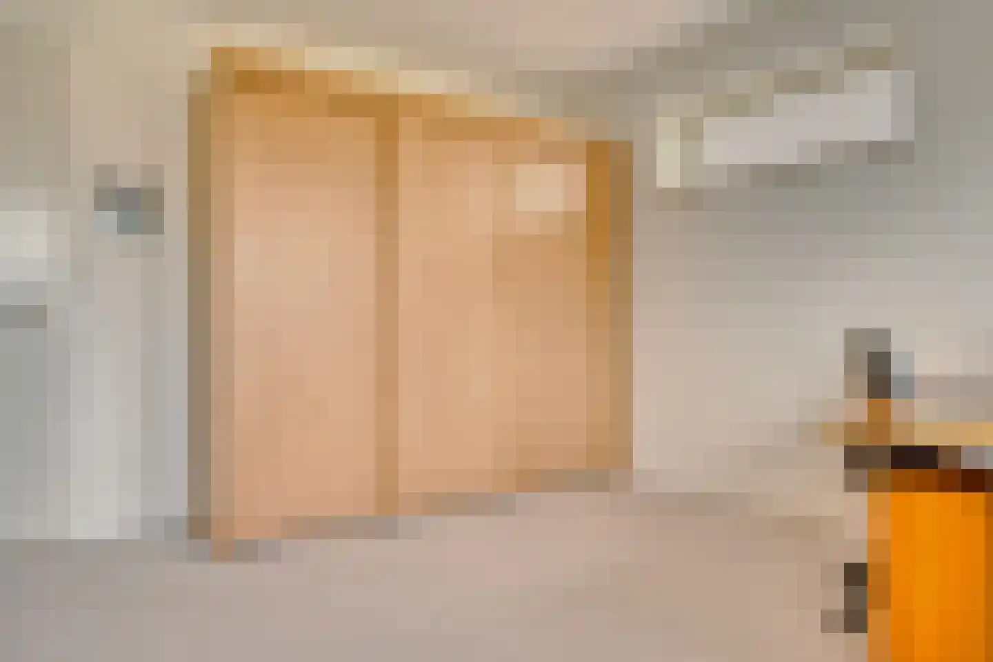Zilverreiger 19 Hendrik-Ido-Ambacht thumbnail 29
