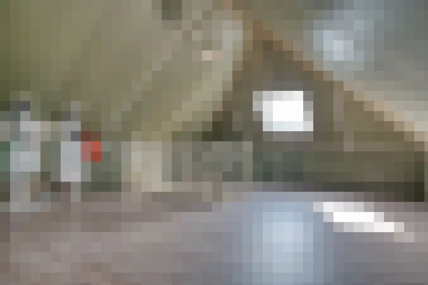 Zilverreiger 19 Hendrik-Ido-Ambacht thumbnail 34