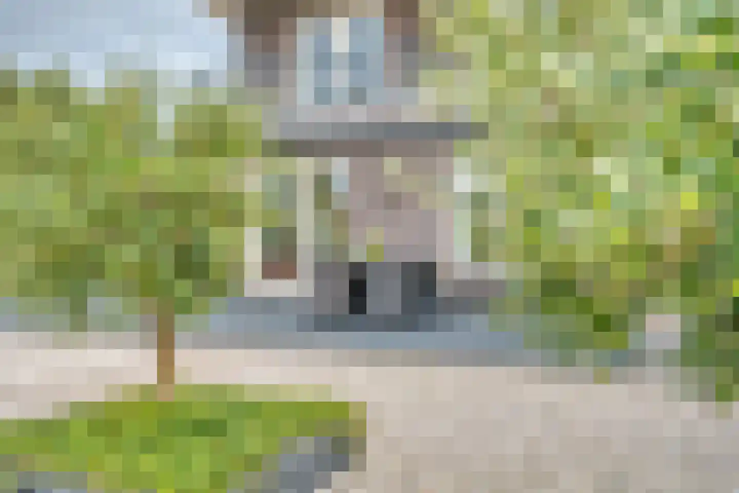 Zilverreiger 19 Hendrik-Ido-Ambacht thumbnail 36