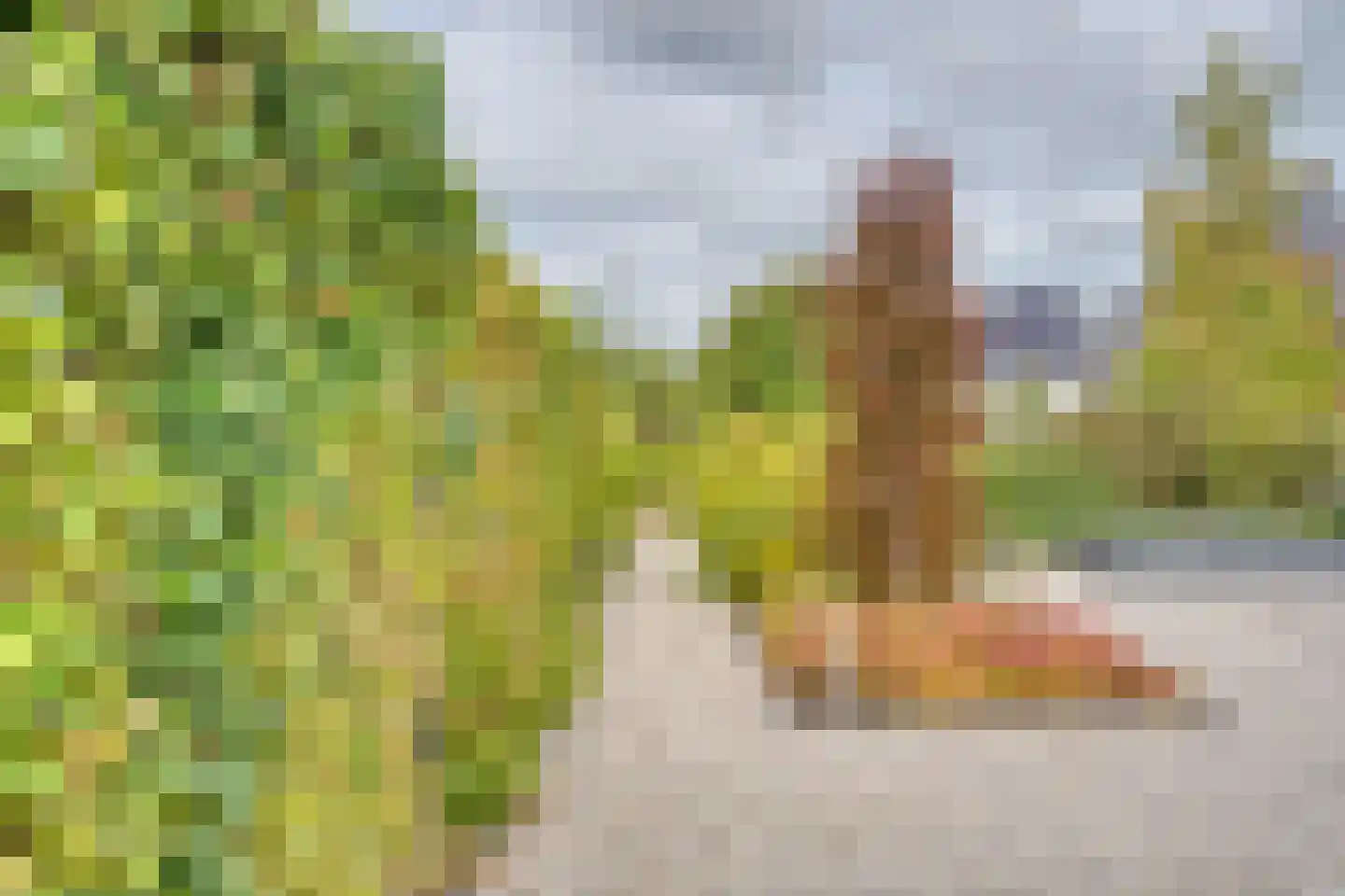 Zilverreiger 19 Hendrik-Ido-Ambacht thumbnail 41
