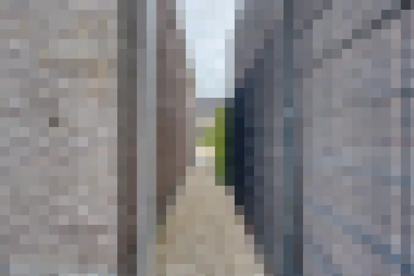 Zilverreiger 19 Hendrik-Ido-Ambacht thumbnail 44