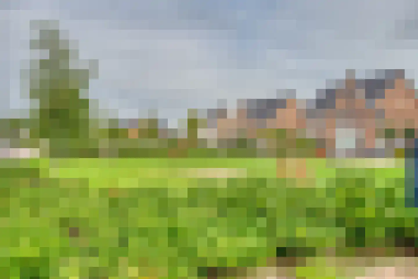 Zilverreiger 19 Hendrik-Ido-Ambacht thumbnail 52