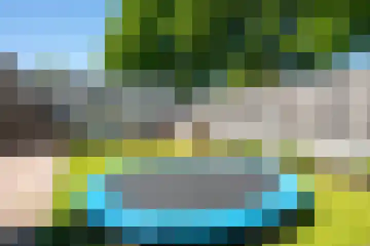 Zilverreiger 2 Emmen thumbnail 10