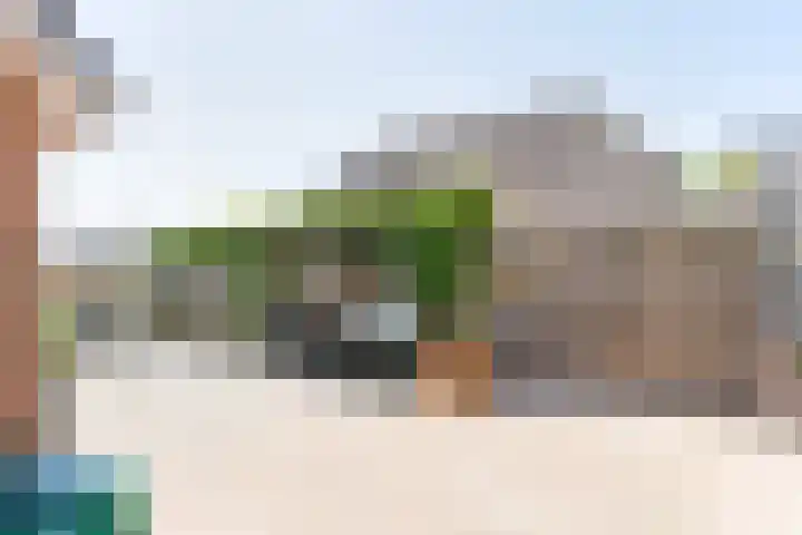 Zilverreiger 2 Emmen thumbnail 11