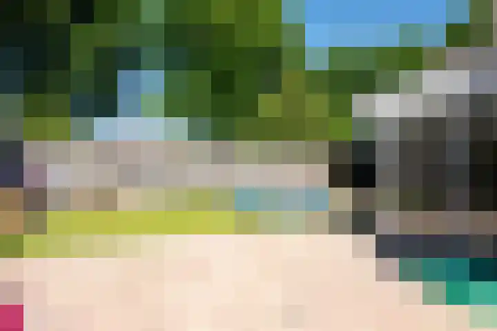 Zilverreiger 2 Emmen thumbnail 12
