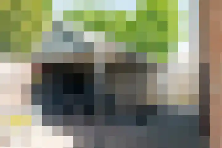 Zilverreiger 2 Emmen thumbnail 13