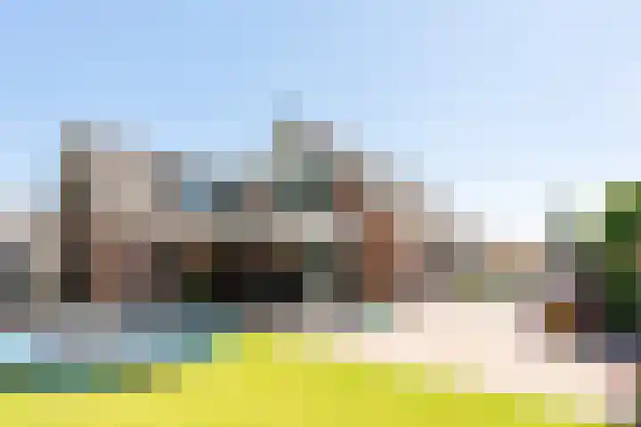 Zilverreiger 2 Emmen thumbnail 15