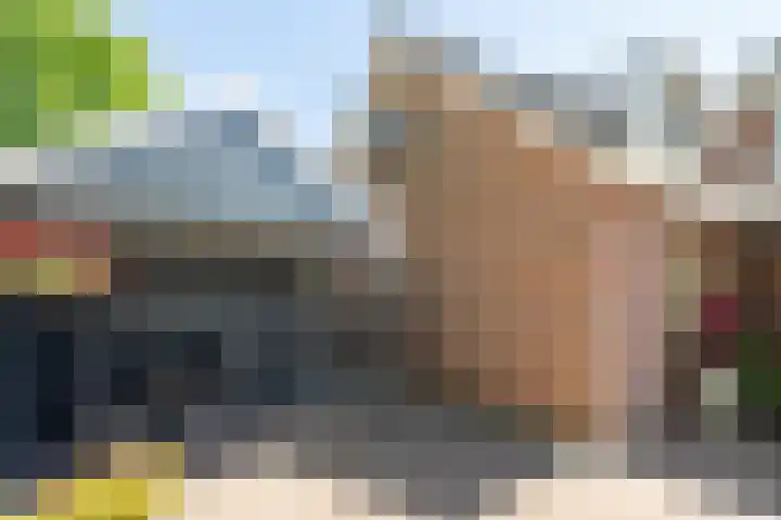 Zilverreiger 2 Emmen thumbnail 16