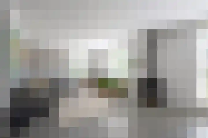 Zilverreiger 2 Emmen thumbnail 20