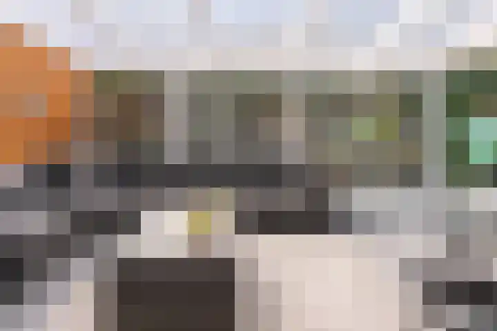 Zilverreiger 2 Emmen thumbnail 25