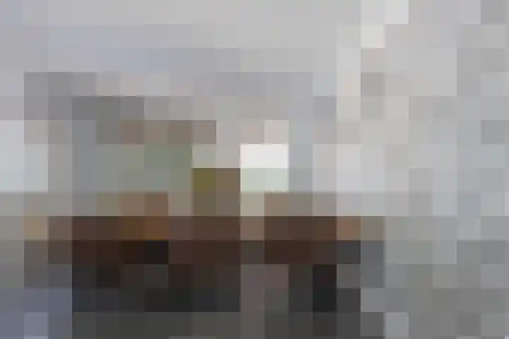 Zilverreiger 2 Emmen thumbnail 26