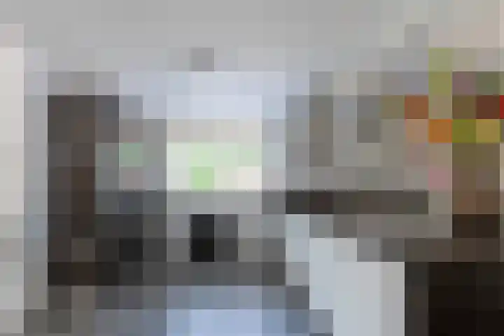 Zilverreiger 2 Emmen thumbnail 27