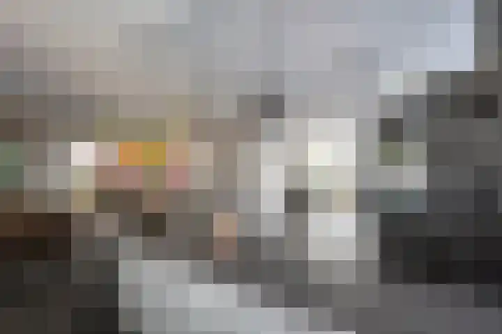 Zilverreiger 2 Emmen thumbnail 28