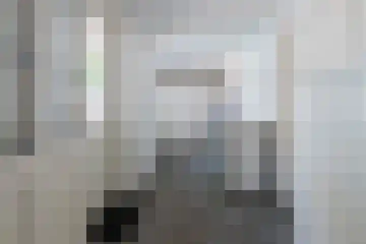 Zilverreiger 2 Emmen thumbnail 30