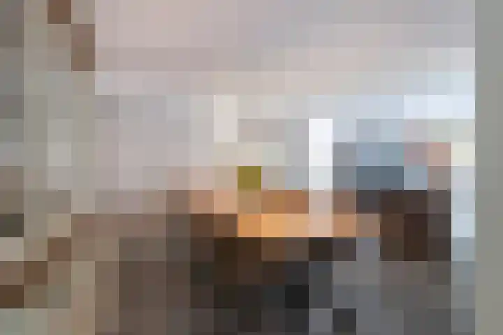 Zilverreiger 2 Emmen thumbnail 31