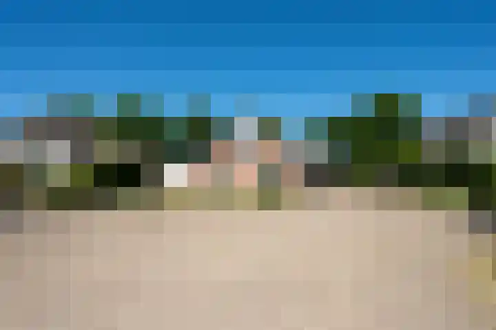 Zilverreiger 2 Emmen thumbnail 4