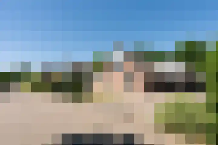 Zilverreiger 2 Emmen thumbnail 5
