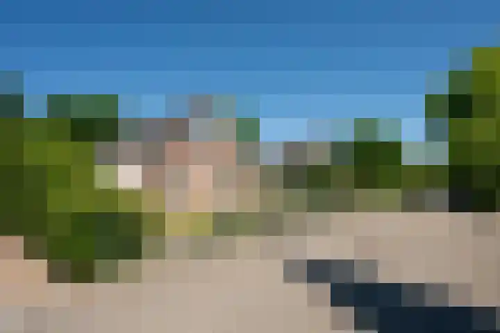 Zilverreiger 2 Emmen thumbnail 6