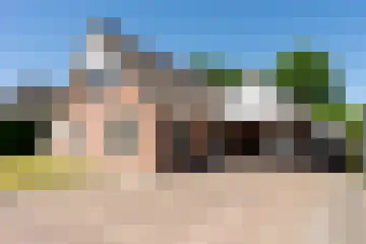 Zilverreiger 2 Emmen thumbnail 7