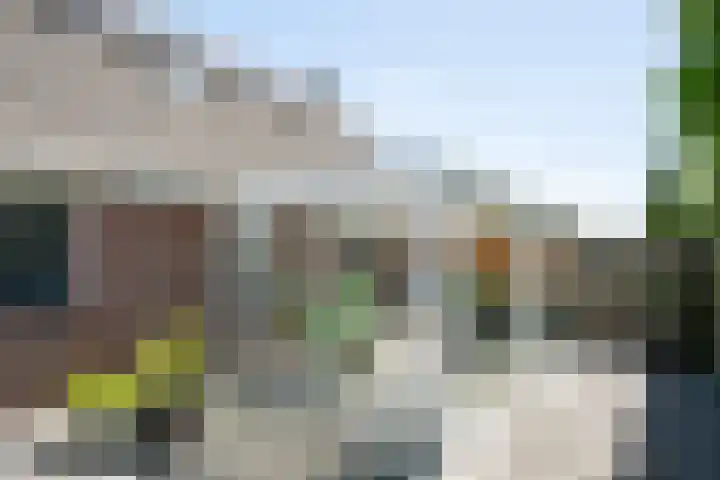 Zilverreiger 2 Emmen thumbnail 8