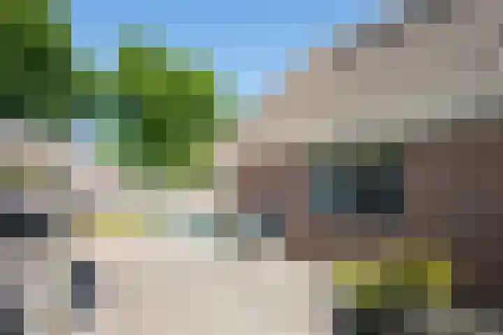 Zilverreiger 2 Emmen thumbnail 9