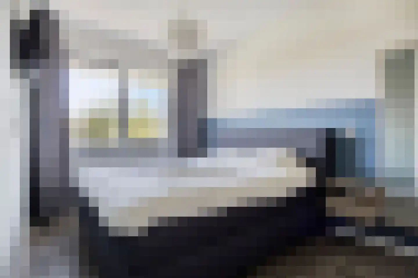 Zilverreiger 2 Leimuiden thumbnail 16
