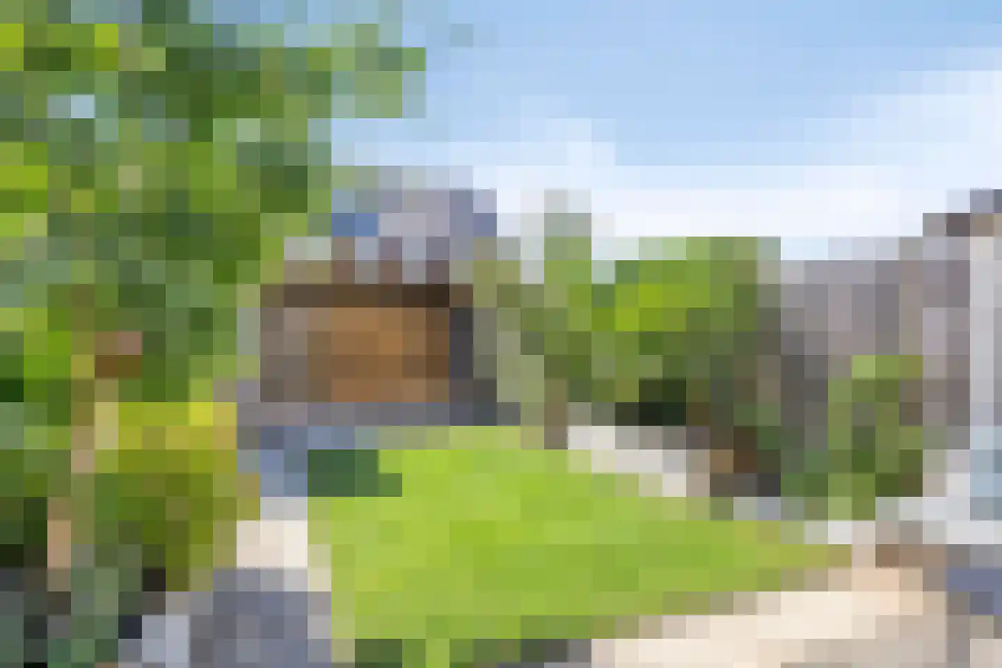 Zilverreiger 2 Leimuiden thumbnail 29