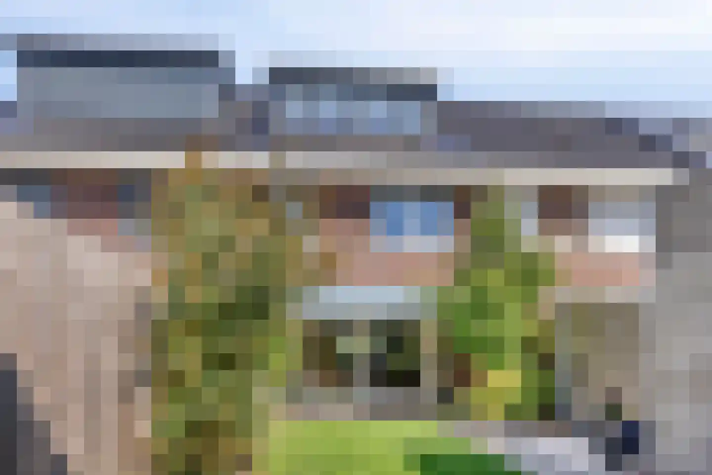 Zilverreiger 2 Leimuiden thumbnail 33