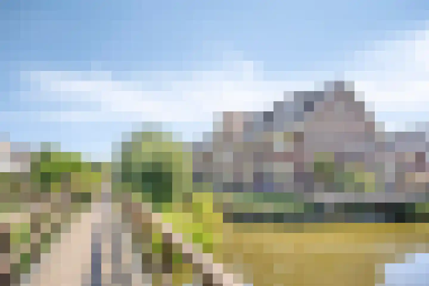 Zilverreiger 2 Leimuiden thumbnail 38