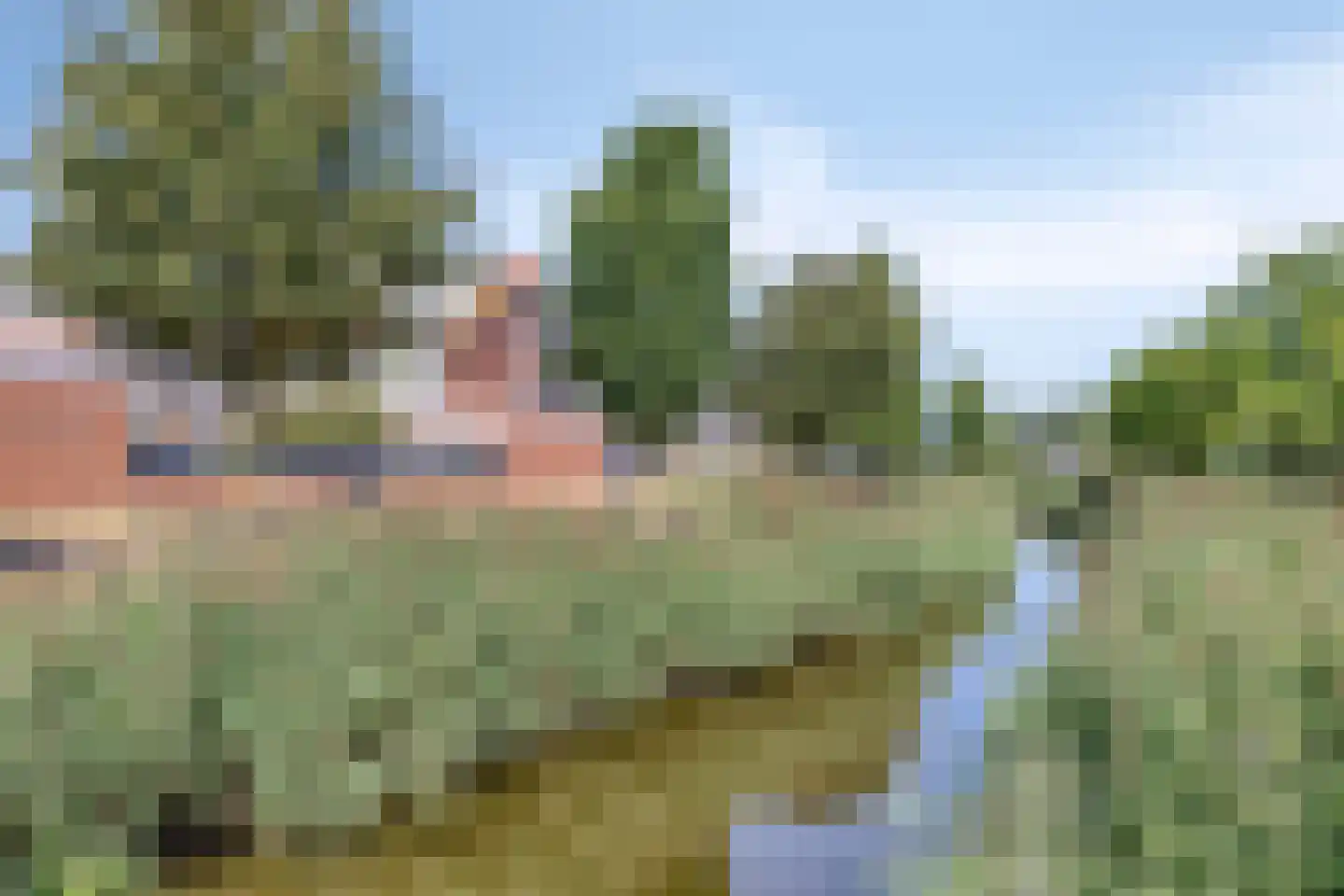 Zilverreiger 2 Leimuiden thumbnail 39